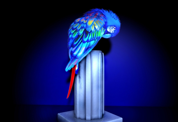 Creation of flash on parrot: Step 5